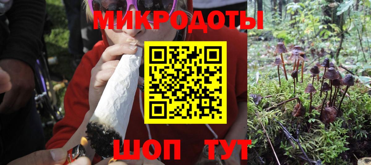 Орёл  Псилоцибиновые грибы Psilocybe  Псилоцибиновые грибы мицелий  Вход с VPN 