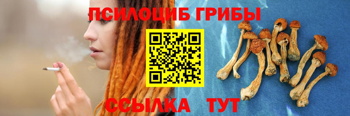 Псилоцибиновые грибы мухоморы Орёл